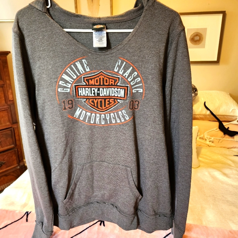 Harley-Davidson Hooded Long Sleeve Shirt